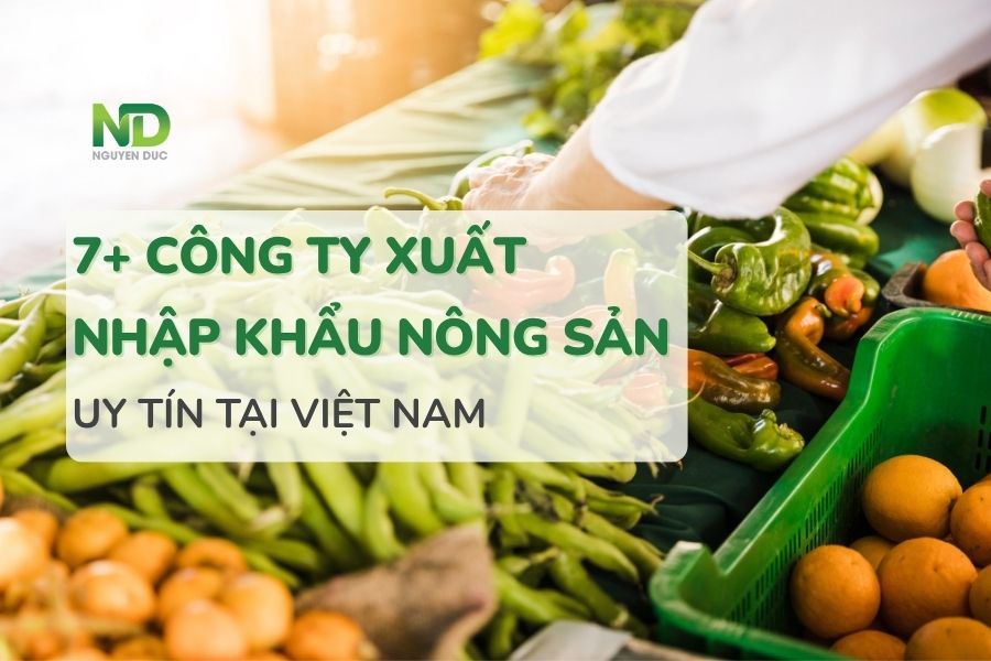 Top 7+ công ty xuất nhập khẩu nông sản uy tín tại Việt Nam